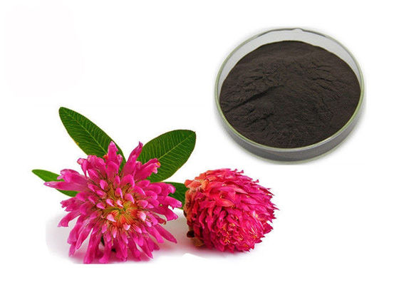 চীন বিশুদ্ধতা 2.5% 8% 20% 40% আইসোফ্লাভোনস রেড ক্লোভার এক্সট্রাক্ট পাউডার সরবরাহকারী