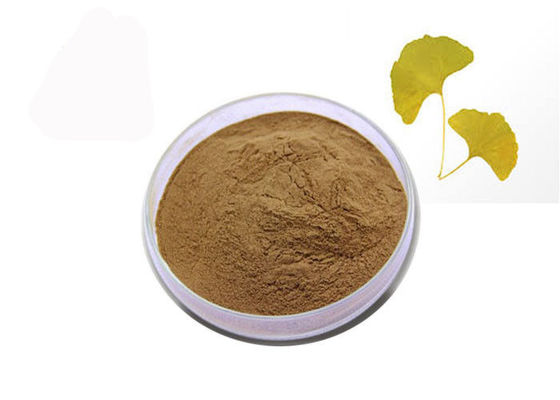 চীন 24% ফ্ল্যাভোনস 6% ল্যাকটোনগুলি খাঁটি প্রাকৃতিক জিঙ্কগো বিলোবা এক্সট্র্যাক্ট পাউডার সরবরাহকারী
