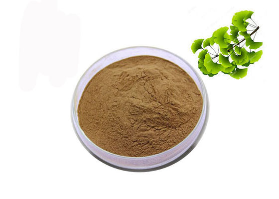 চীন সিএএস 90045-36-6 জৈব শুকনো পাতা জিঙ্কগো বিলোবা এক্সট্র্যাক্ট পাউডার সরবরাহকারী