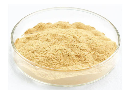 জৈব সাইবেরিয়ান রুট 30% 80% জিনসেনোসাইড খাঁটি জিনসেং এক্সট্র্যাক্ট সরবরাহকারী